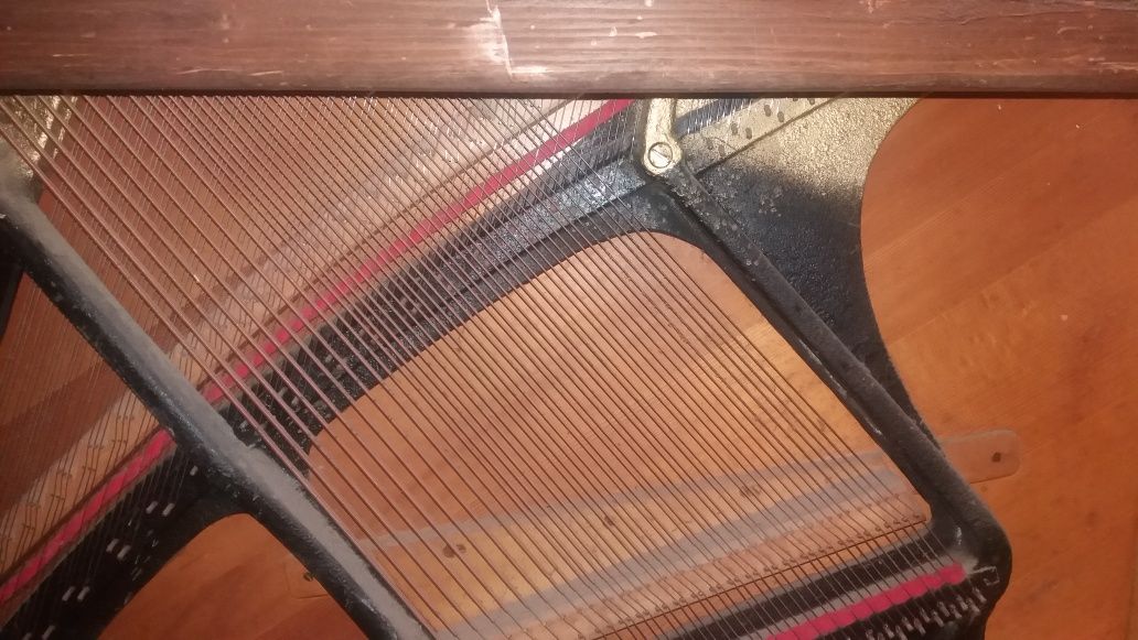 Pianina Doina , placă de bronz,corzi încrucișate.