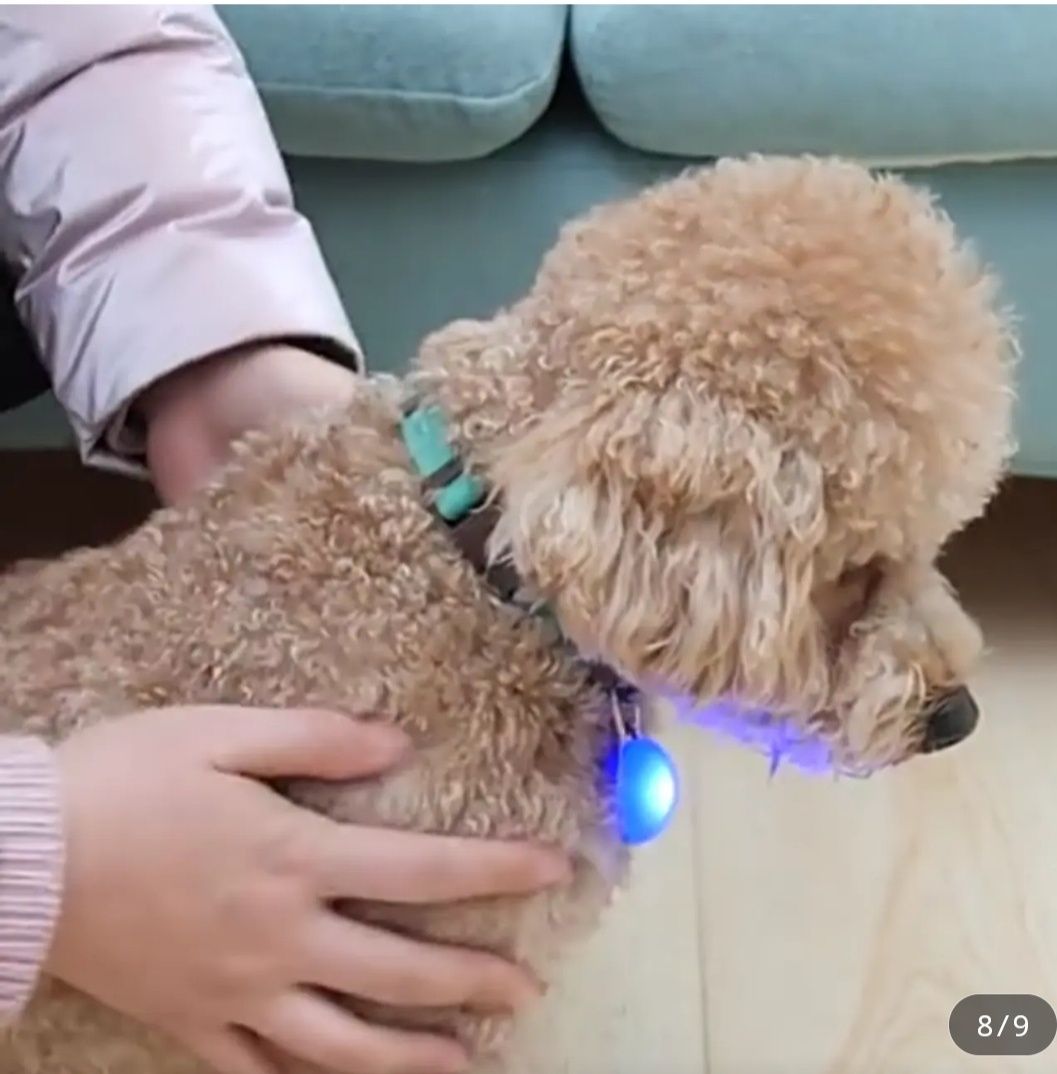 LED светлина за нашийник на куче