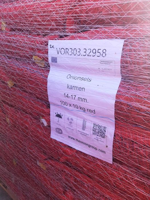 Vand arpagic olandez si romanesc, calitate excelenta