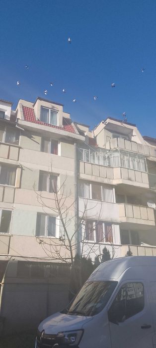 Apartament 2 camere centru Covasna