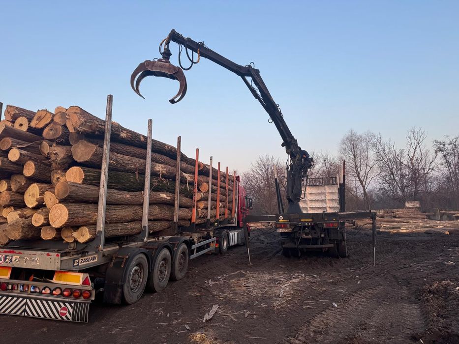 Lemn foc FAG, stejar , carpen , SALCAM