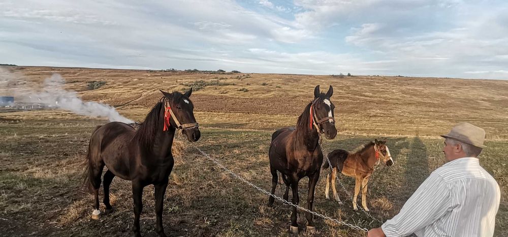 Mamă și fiu de vânzare!