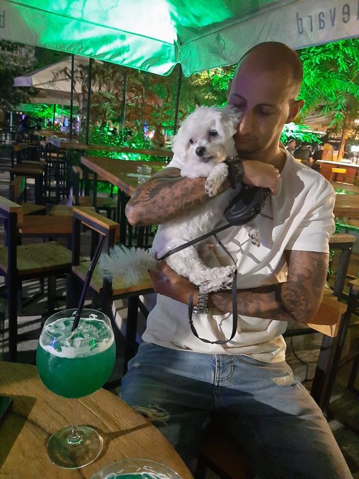 Plimb caini de orice talie!