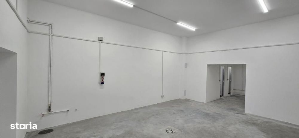 Hala 145 mp in Parcul Industrial Roman pt. productie, depozitare