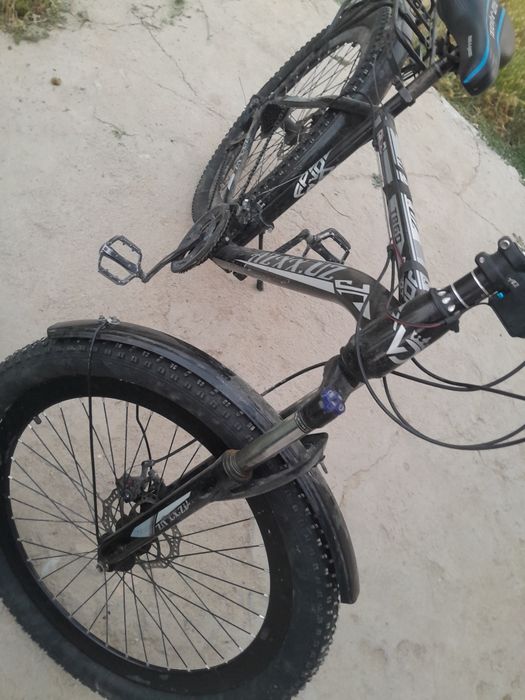 Velik gonchik 26