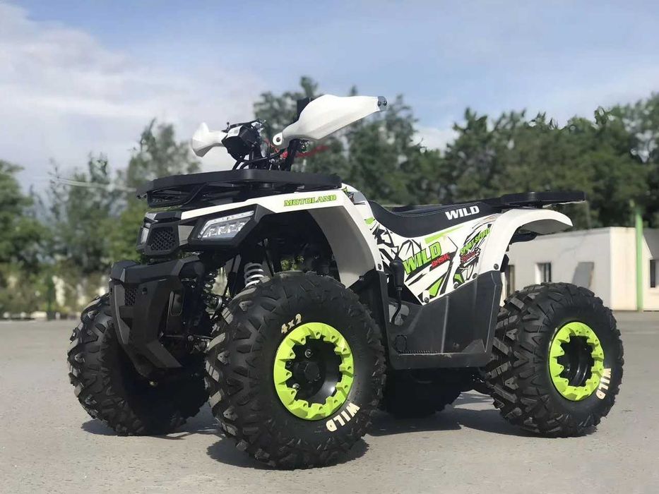 Квадроцикл MotoLand Wild Basic 125