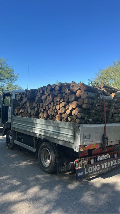 Lemne de foc esenta tare