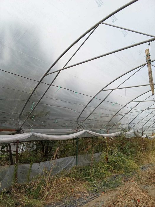 SOLAR Vulcana Pandele