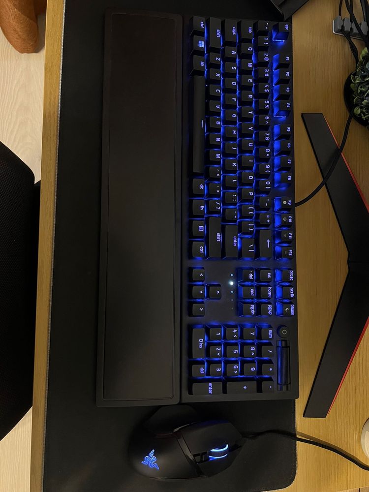 Tastatura Razer Blackwidow V3 si mouse Razer Basilisk V2