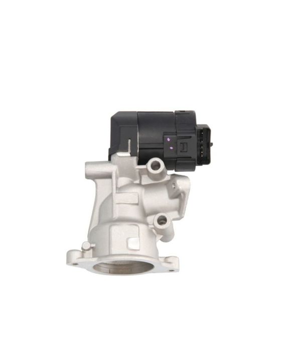 EGR клапан Citroen, Fiat, Ford