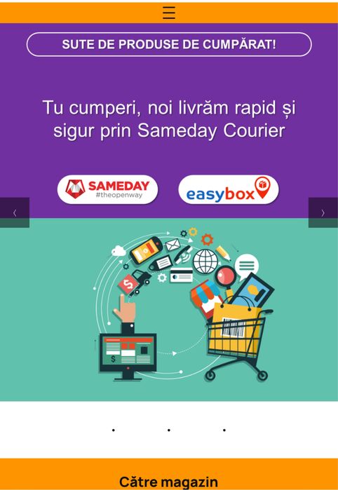 De vanzare site + lot marfa !! 2€ / produsul , ideal afacere TikTok Fb