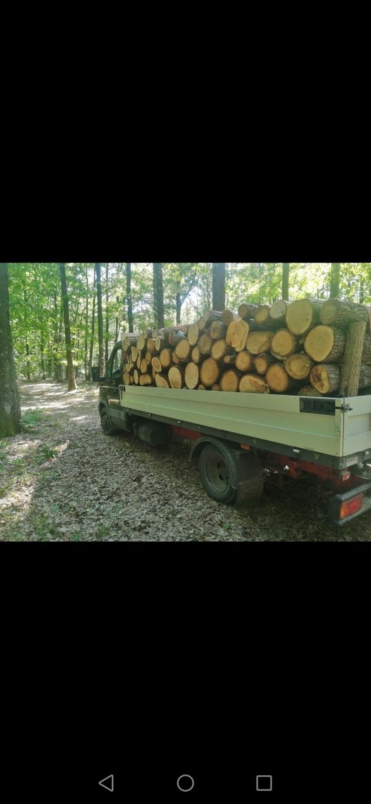 Lemne de foc esențe tari