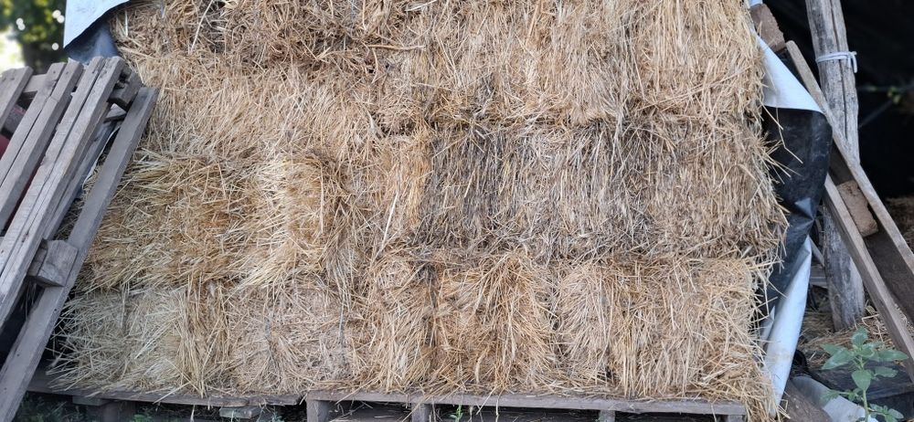 Baloti iarba din 2025