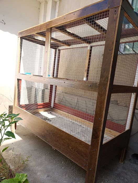 Валер сотилади холати зор ичида ку́п Турмаган куш канарейка бокилган