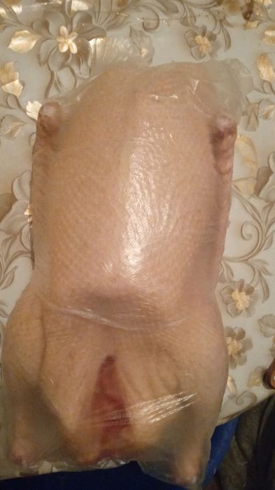 Мясо гусей продам