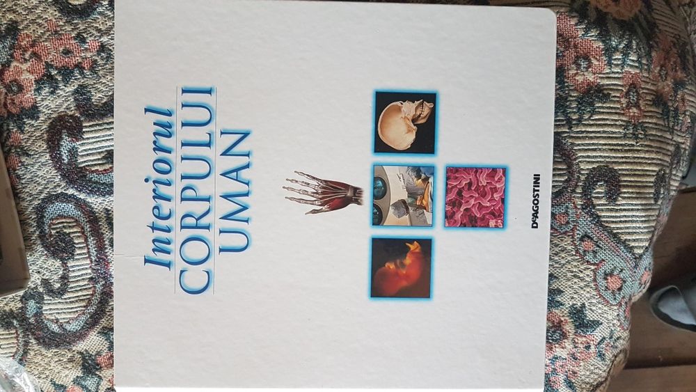 Colectie interiorul corpului uman medicina