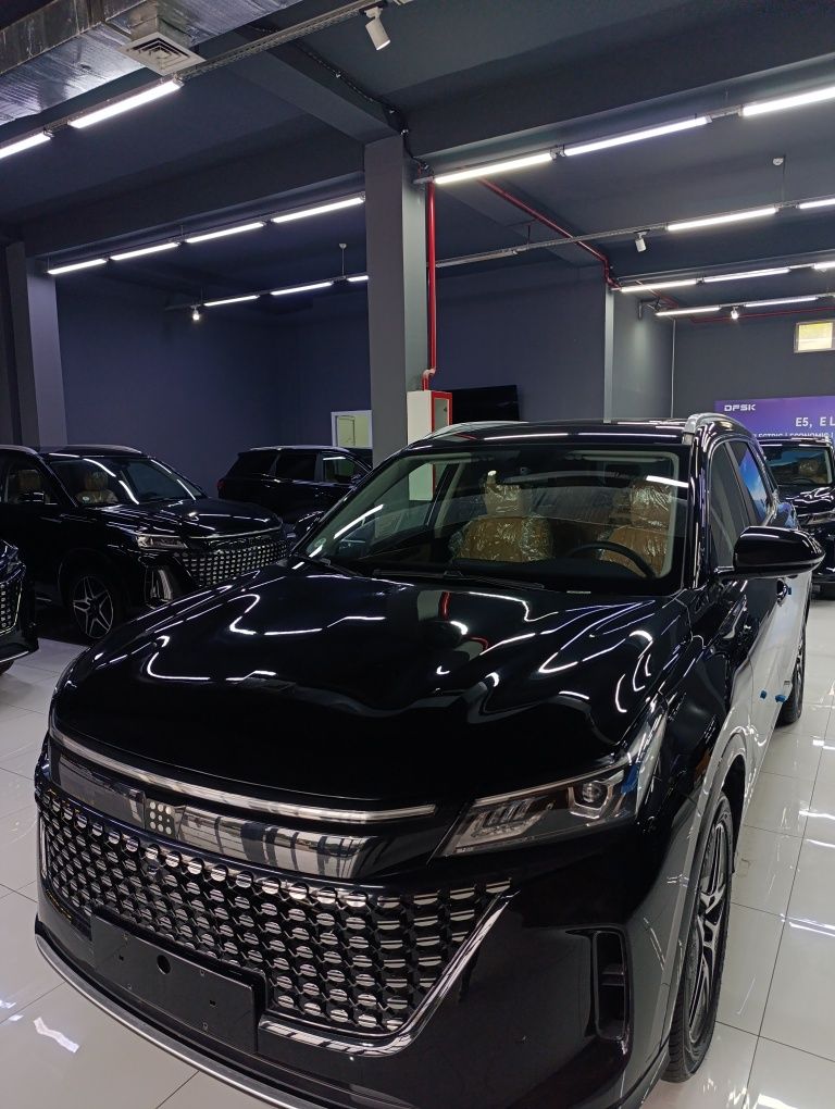 Dongfeng Rassrochka
