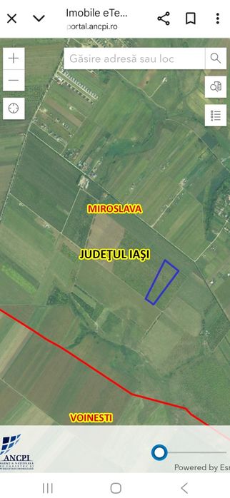 Rate Teren miroslava