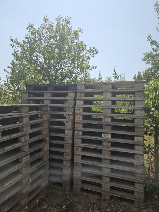 Euro paleti disponibili