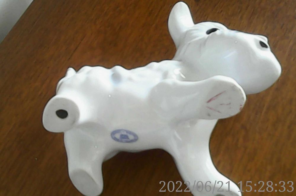 Catelusi Portelanul Alba Iulia