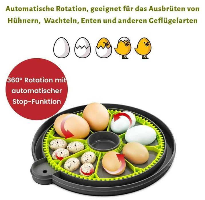 Incubator pentru 8 ouă cu întoarcere automată