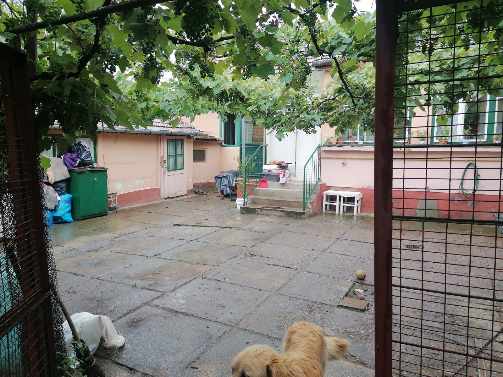 De vânzare casa Cisnădie centru !!