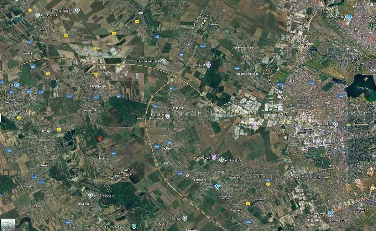 Teren 600 mp lângă pădure, 18 m deschidere, Tantava – Giurgiu
