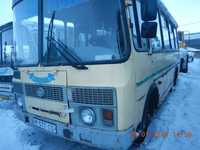 Автобус Паз 32054