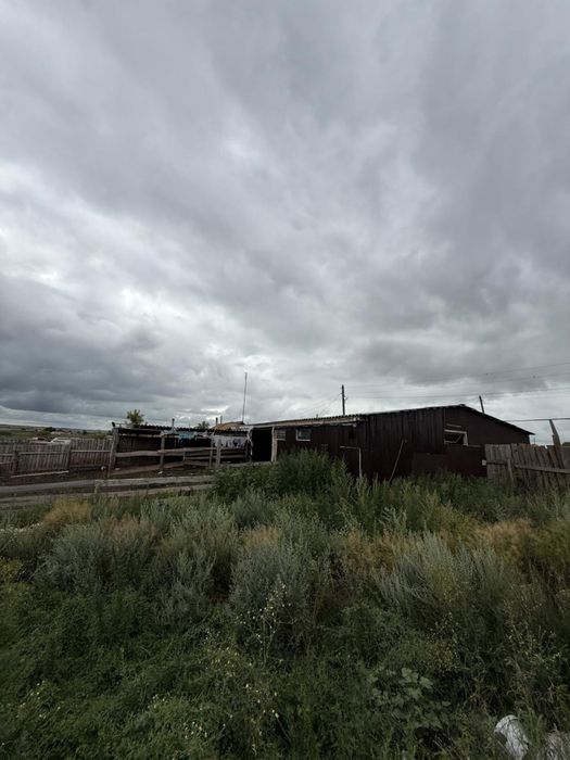 Продам базу для ведения скотоводства