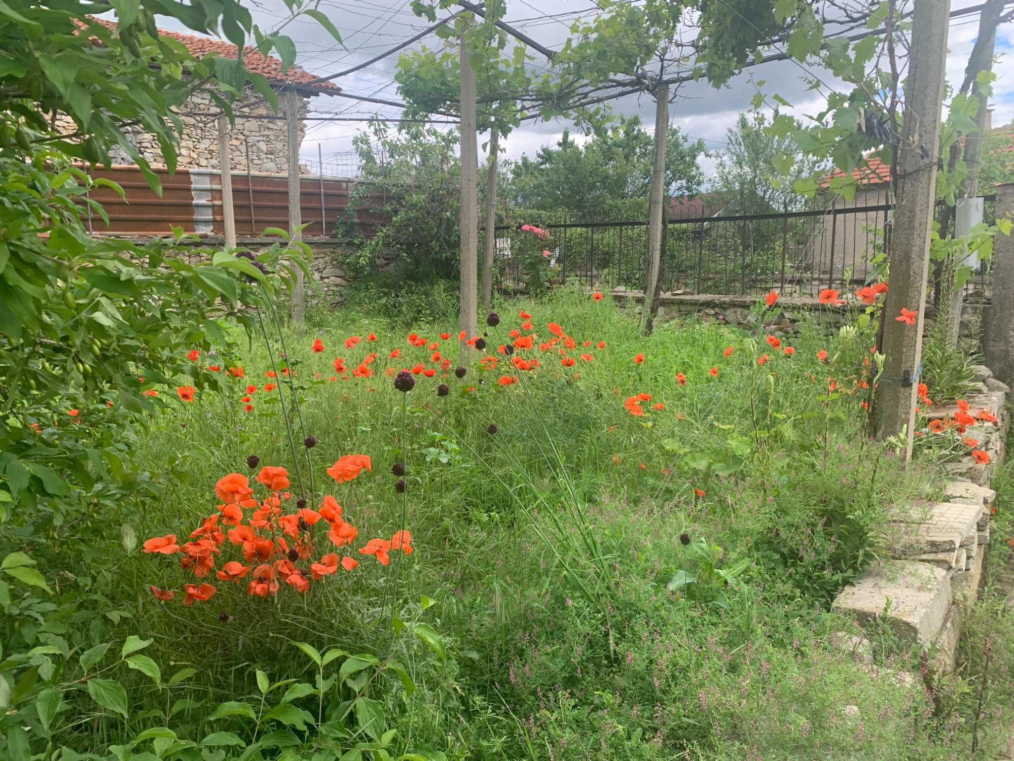 ДВЕ КЪЩИ с двор в центъра на кв. Сушица
