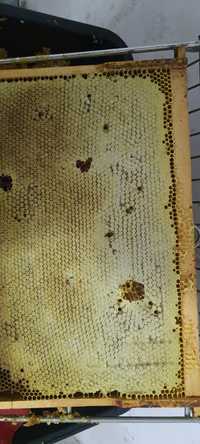 Miere de albine,naturala