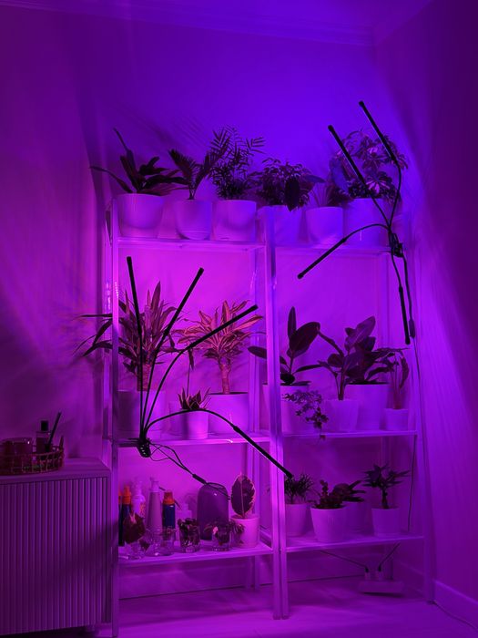 Продам фитолампу