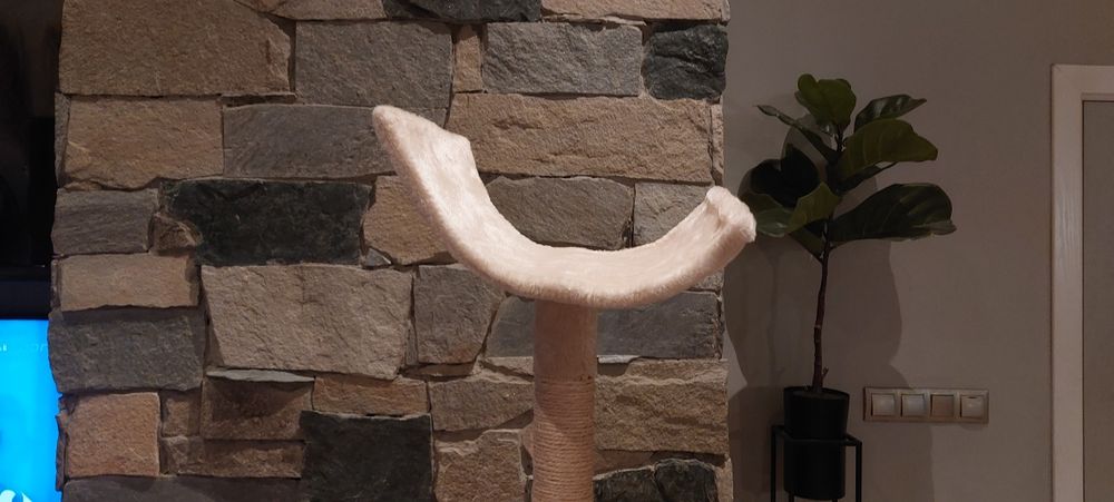 Котешко дърво високо