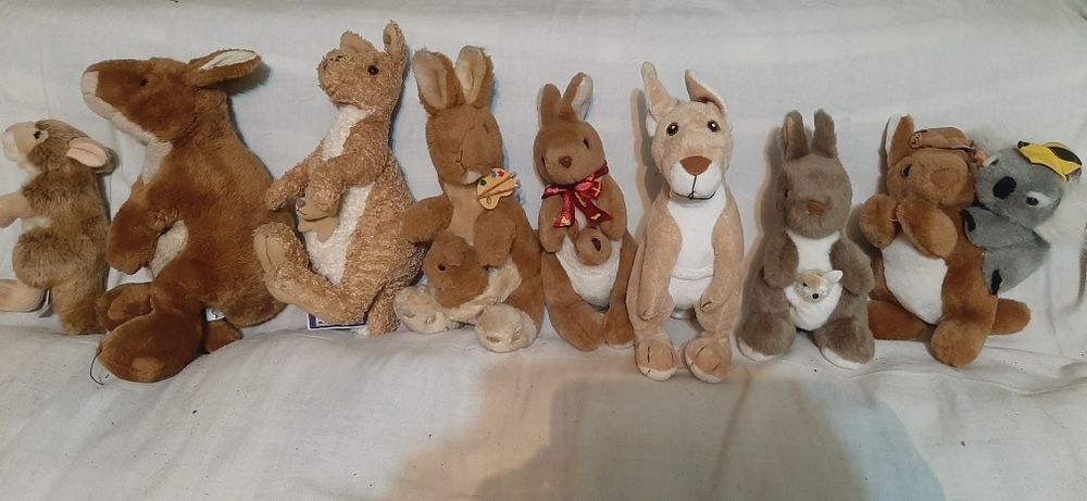 Canguri,camile,lup,lenes,girafa,caprioara