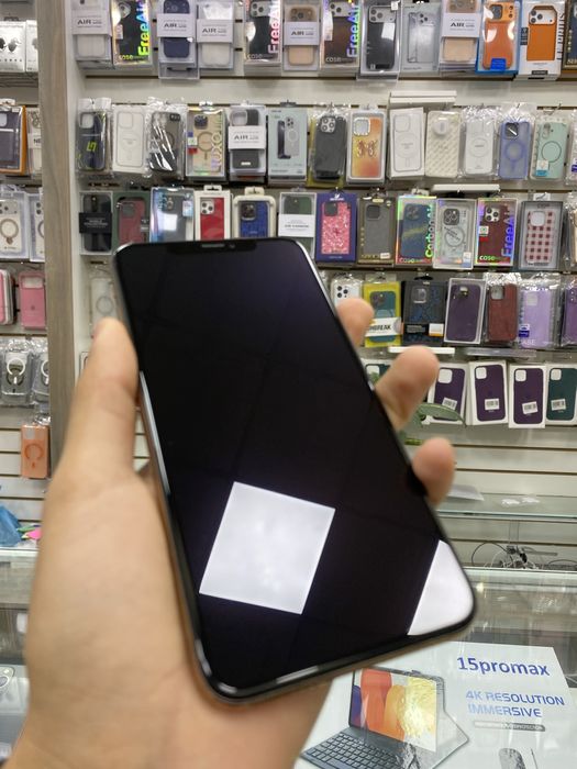 Xs max