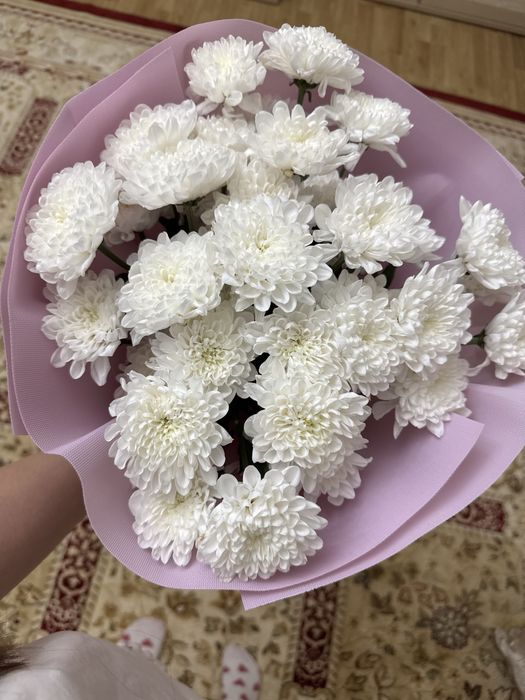 Цветы хризантемы