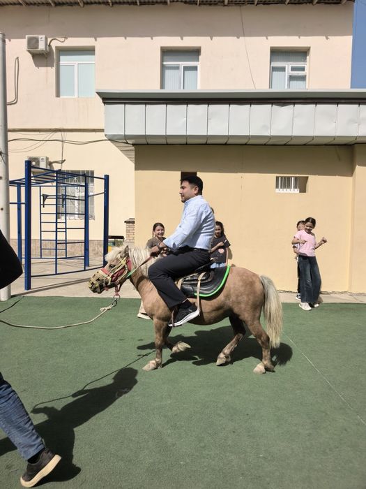 Poni otni udaridan,  kamyob rang, jismoniy holati idela