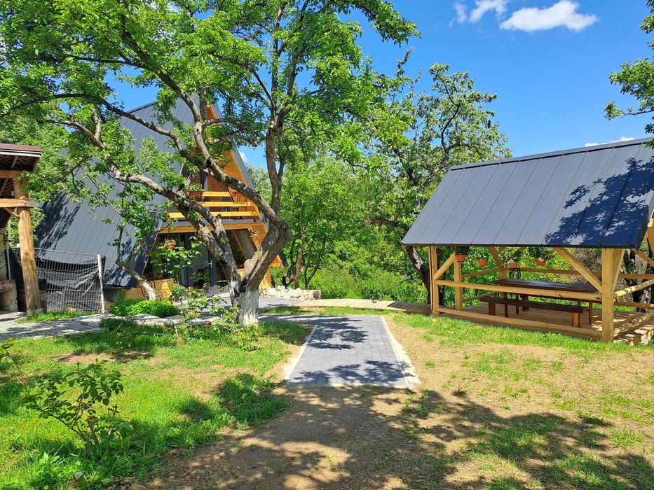 Cabană la munte tipA