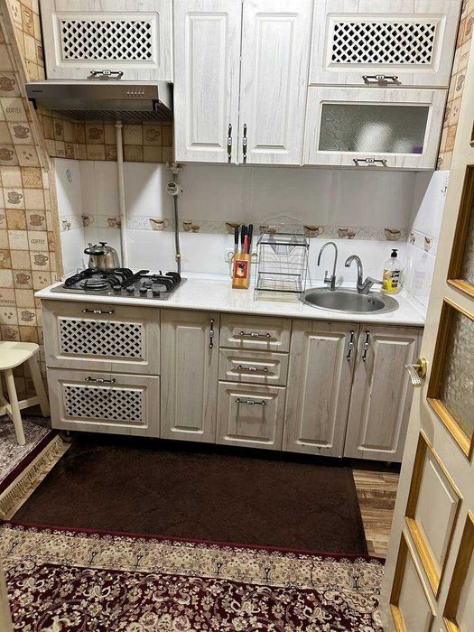 АРЕНДА квартира Шота Руставели мебель+техника