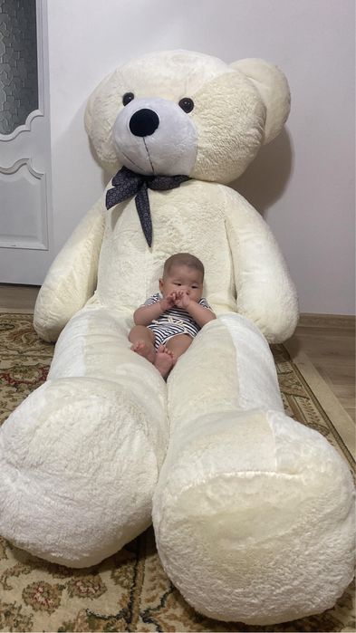 Мишка сатылады срочно туран2 де тур в хорошем состоянии