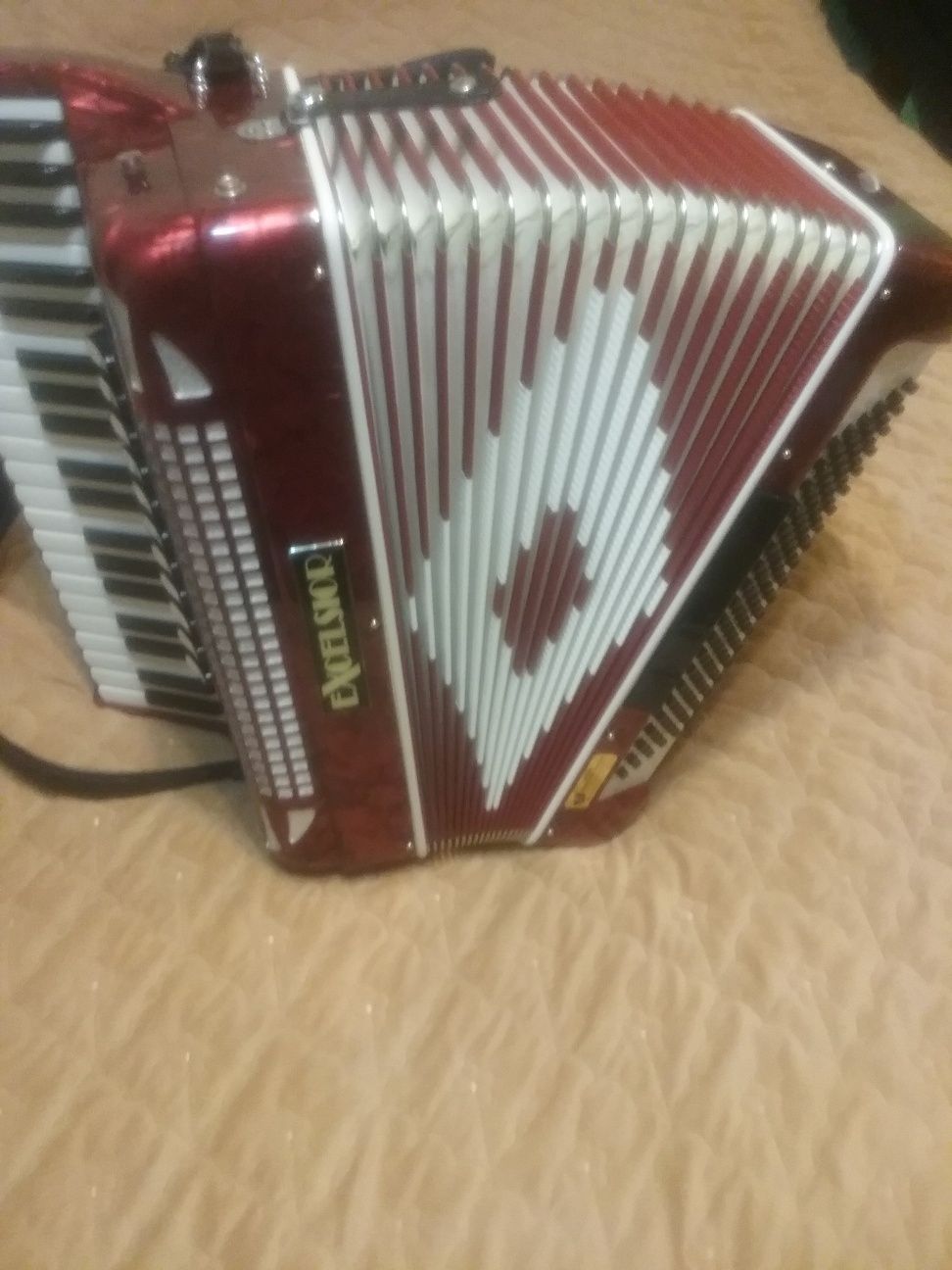 Acordeon excelsior 120 de basi nou