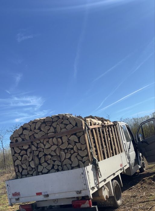 Lemne de foc la palet