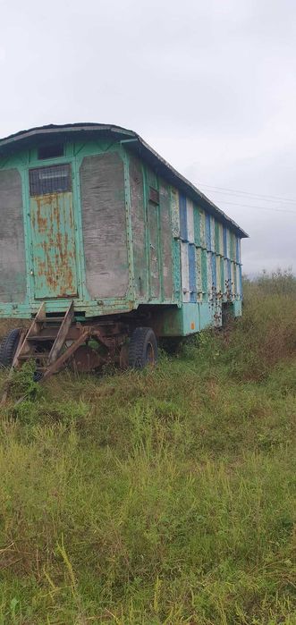 Pavilion apicol(trailer)