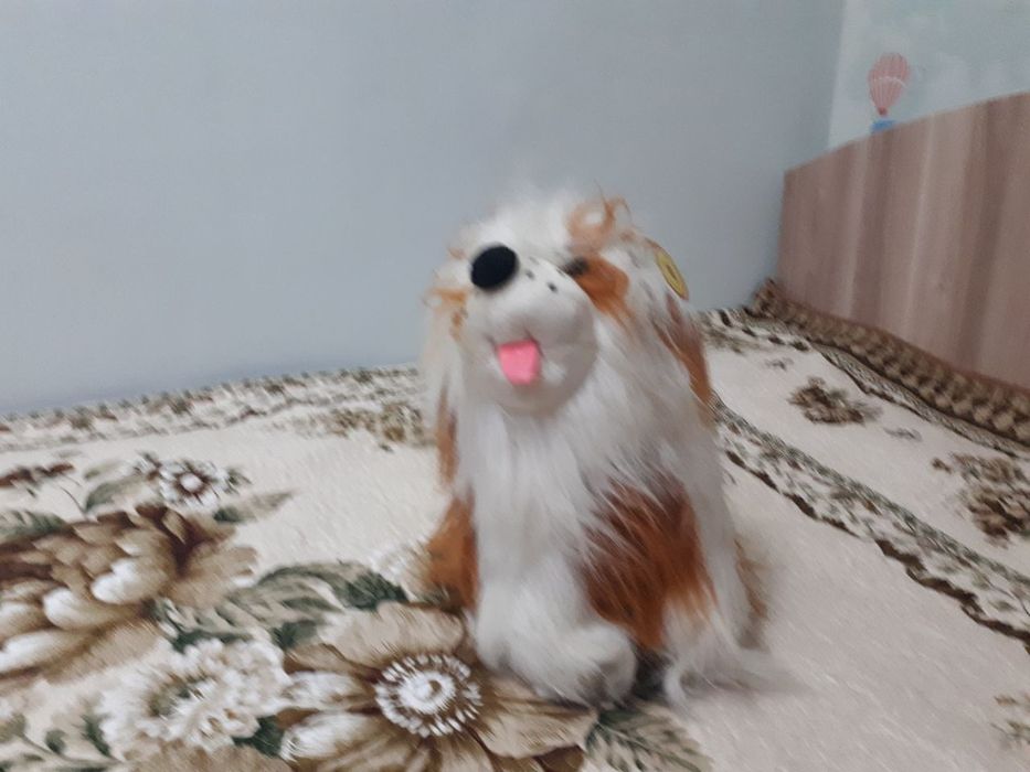 Продам собачку. Click, Uzum, PayMe!