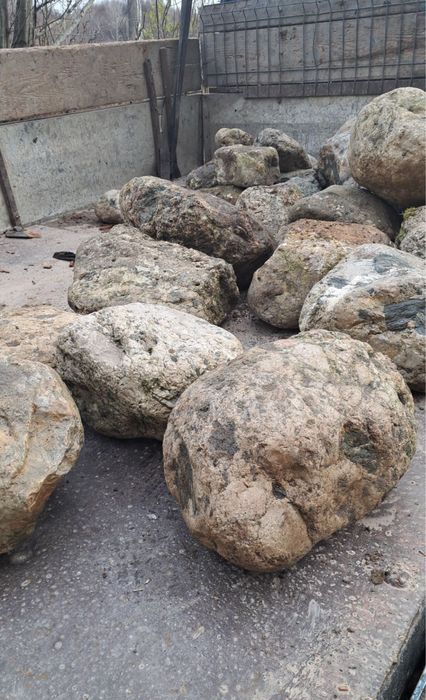 Bolovani ornamentali orice dimensiune si nuante oriunde in tara