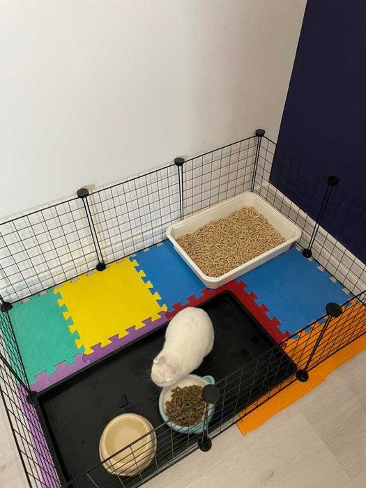 Декоративно зайче