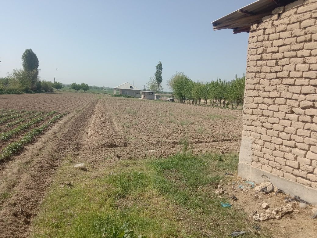 Срочна Уй сртилади