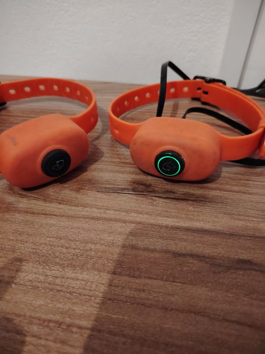 Zgarda electrica dubla pentru 2 catei