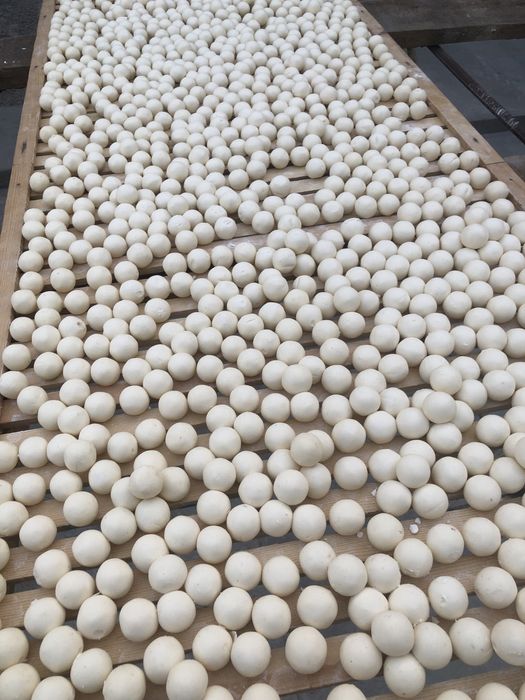 qurt maxsulotlari optom narxlarda