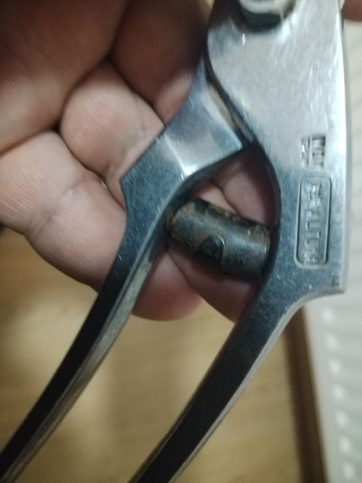 Маркова ножица са пернати